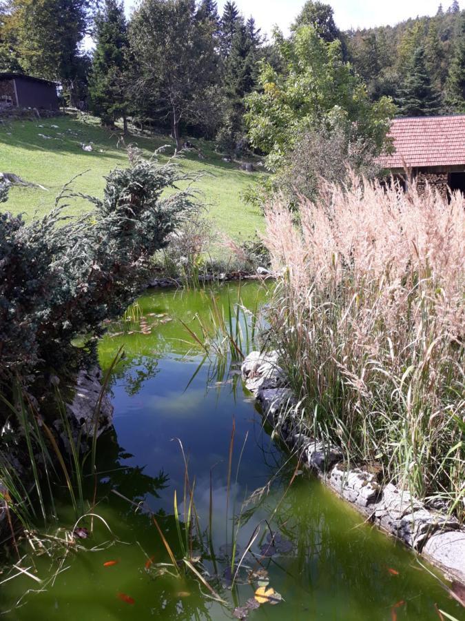 Apartmani Gruzdovo Делнице Экстерьер фото