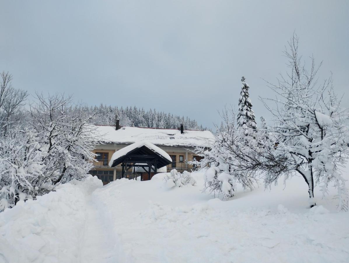 Apartmani Gruzdovo Делнице Экстерьер фото